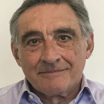 Ahmet İnsel