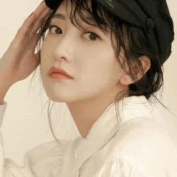 Cheng Fan
