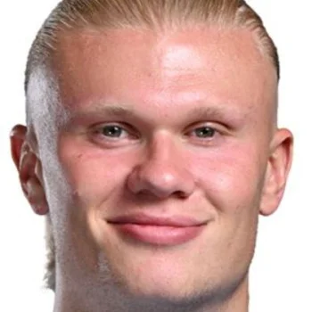 Эрлинг Холанн