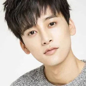 Feng Junxi
