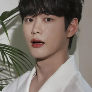 Han Se-jin