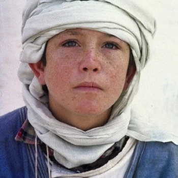 Kelly Reno