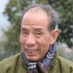 Wei Zongwan