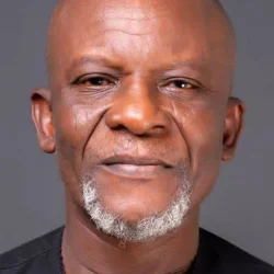 Toyin Oshinaike