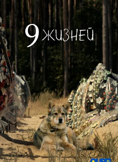 9 жизней