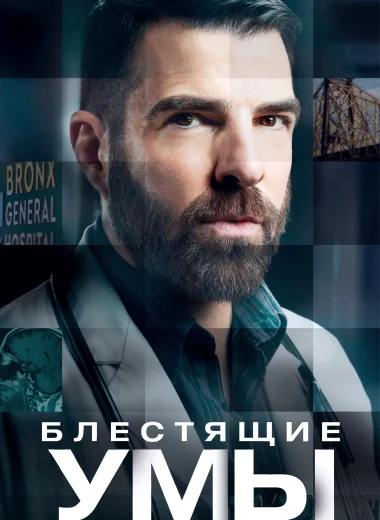 Блестящие умы