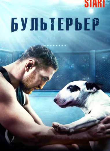 Бультерьер