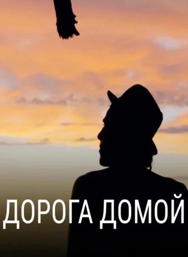 Дорога домой
