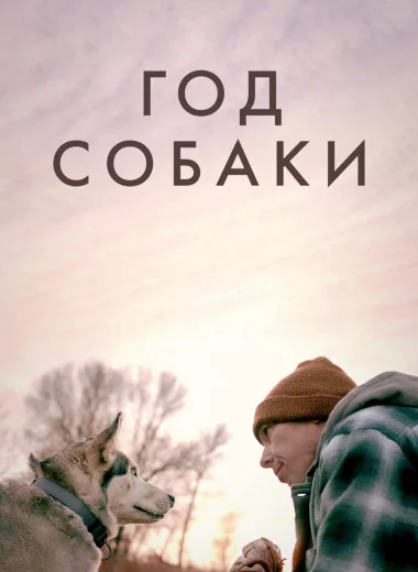 Год собаки