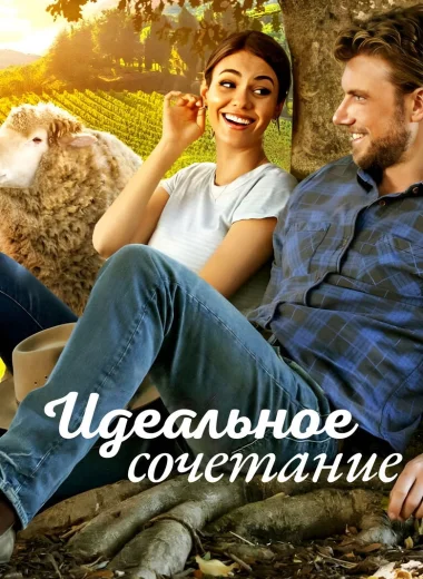 Идеальное сочетание