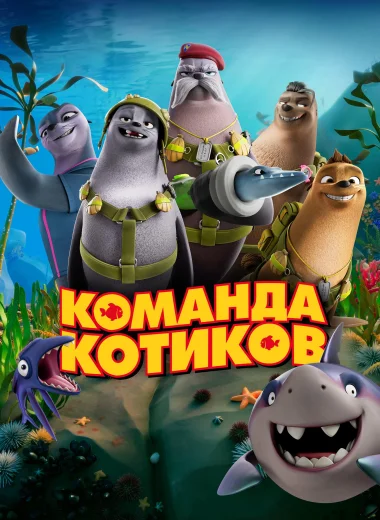 Команда котиков