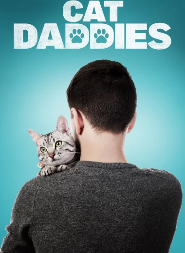 Котики