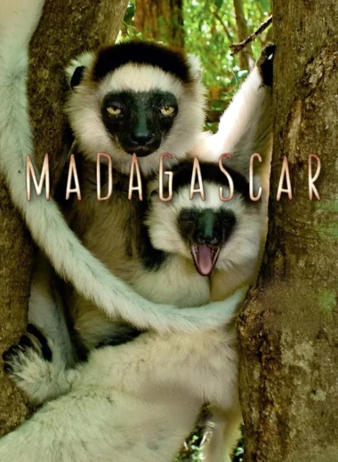 Мадагаскар