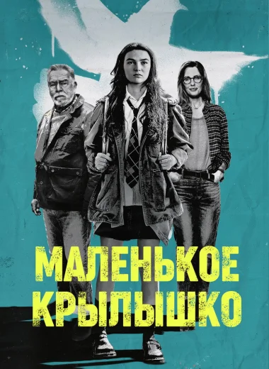 Маленькое крылышко
