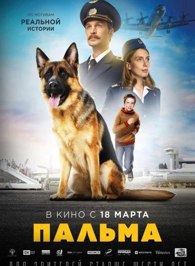 Пальма
