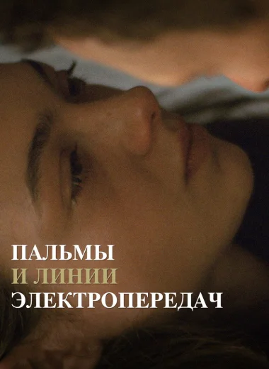 Пальмы и линии электропередач