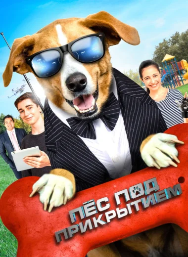 Пёс под прикрытием