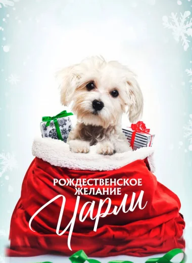 Рождественское желание Чарли