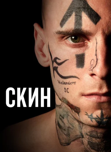 Скин