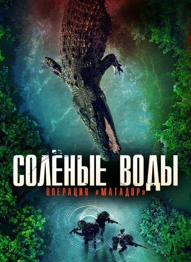 Солёные воды: Операция "Матадор"