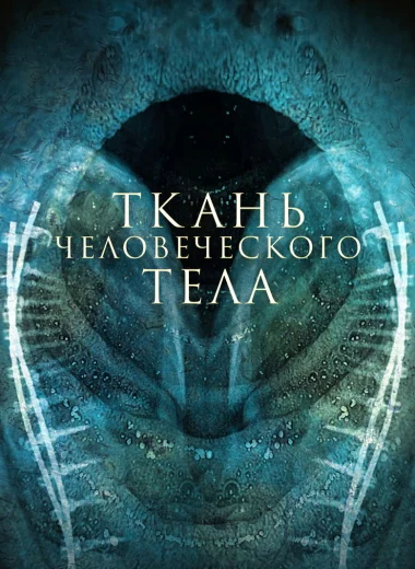 Ткань человеческого тела
