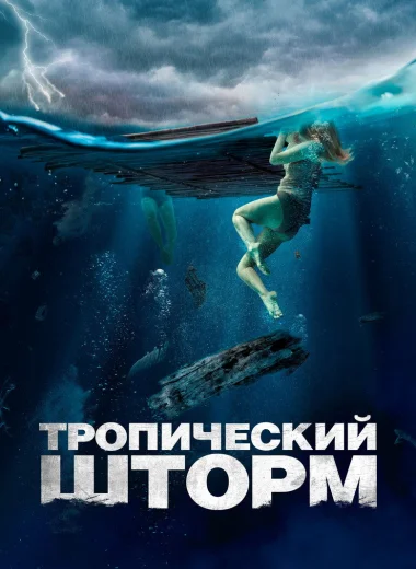 Тропический шторм