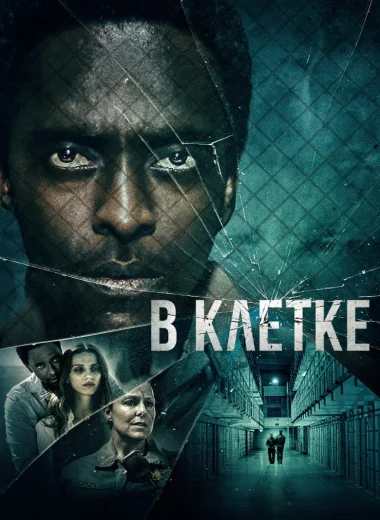 В клетке