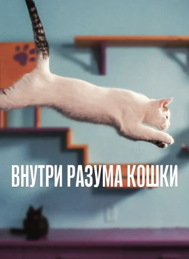 Внутри разума кошки