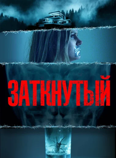 Заткнутый