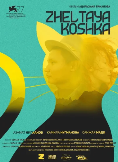 Желтая кошка