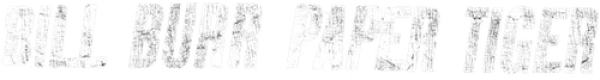 Билл Бёрр: Бумажный тигр