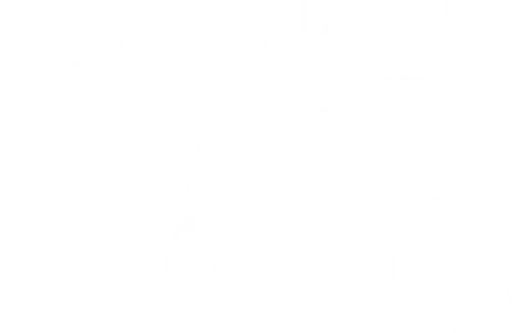 Дикие тигры России