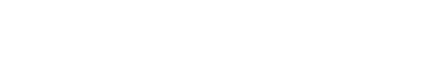 Дорога домой