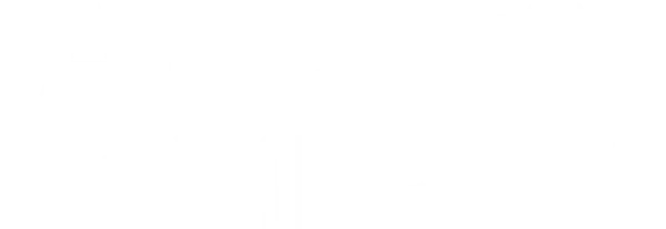 Галопом к мечте