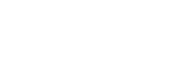 Герои Келли