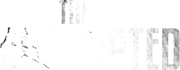 Коррупционер