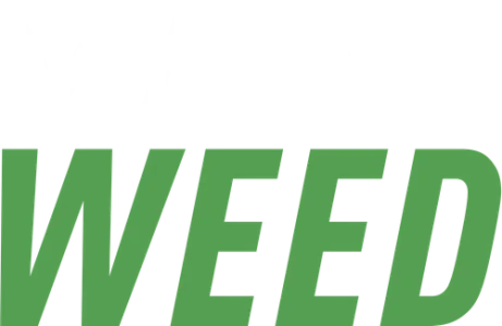 Крестная мама