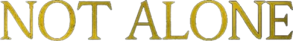 Не один