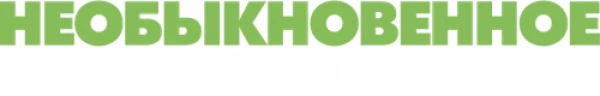 Необыкновенное Рождество Зои
