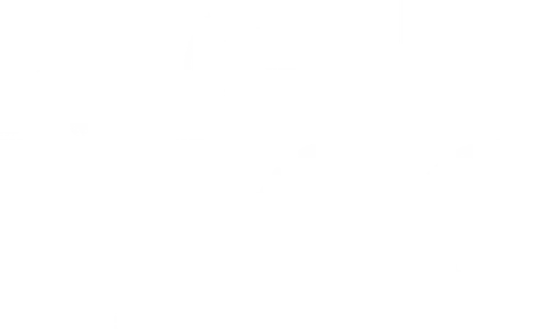 Ночная жизнь