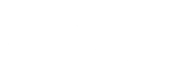 Офицер и шпион