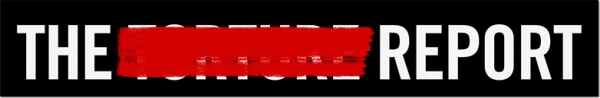 Отчет о пытках