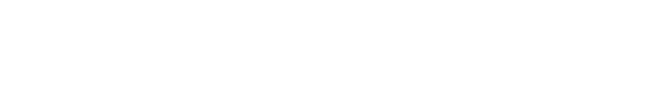 Профессионал