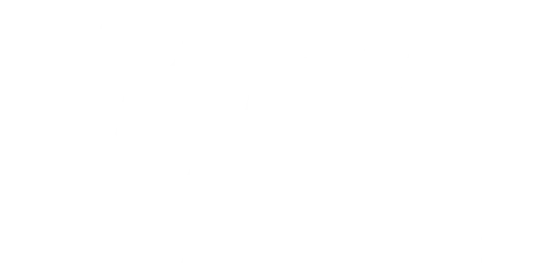 Руби, собака-спасатель