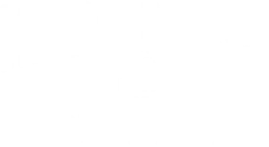 Счастье для начинающих