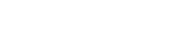 Шейн