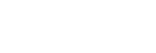 Тайный аудит