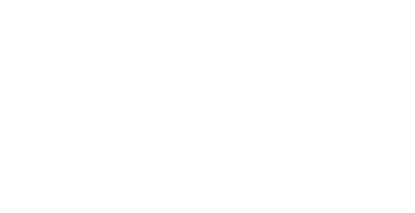 Три ниндзя