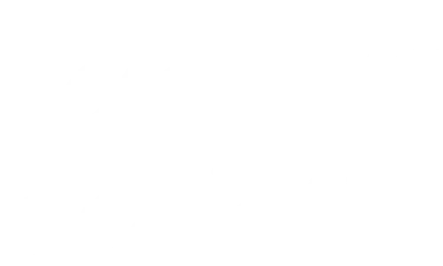 Всю мою жизнь