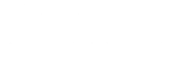 Завещание Анны Ли